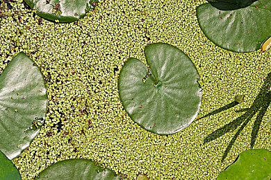 PSSR未来可将与PSVR2游戏配合启用